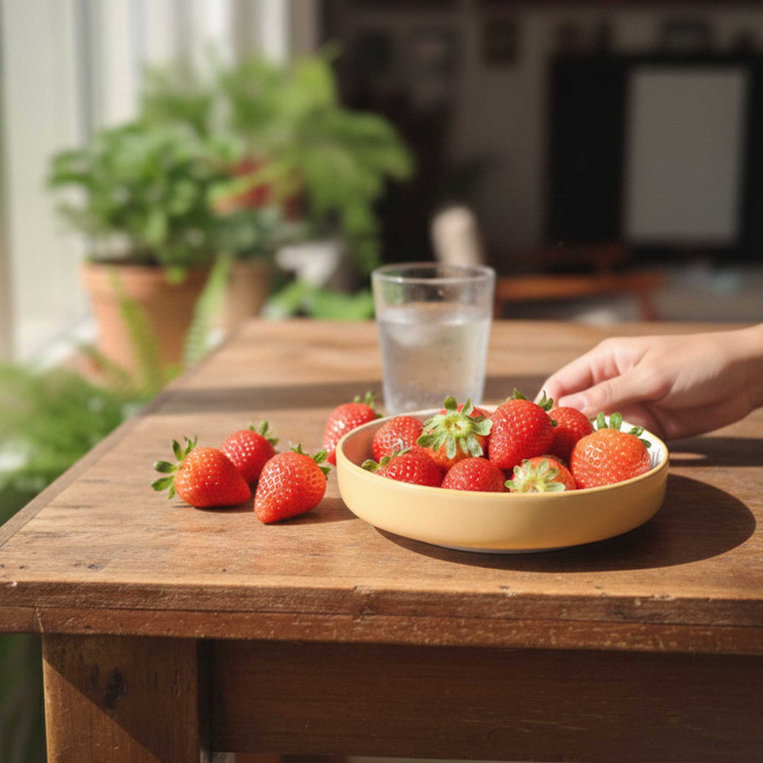 Let’s Ketchup – Bite Plates