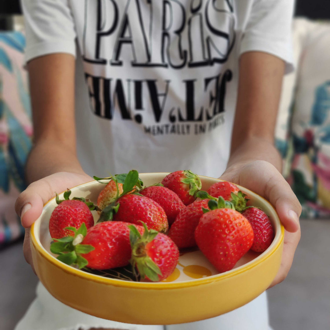 Let’s Ketchup – Bite Plates