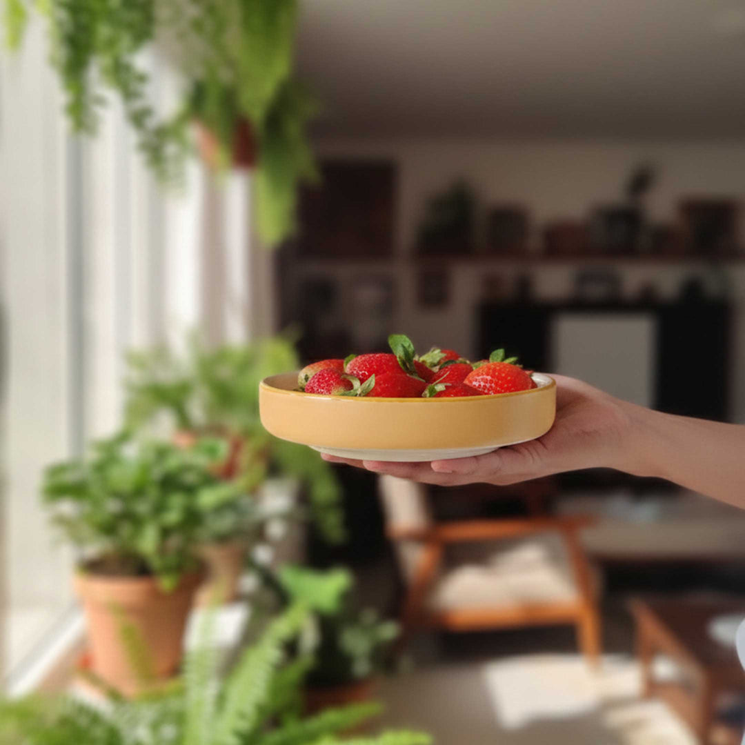 Let’s Ketchup – Bite Plates